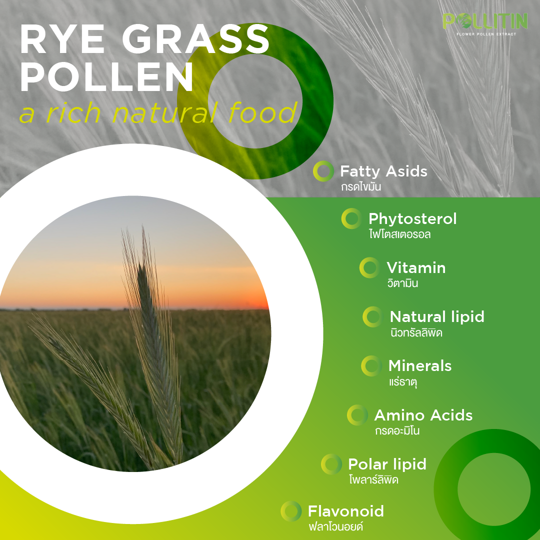 Rye Flower Pollen Extract "The Power of Rye Flower Pollen... Revitalizing You at the Cellular Level