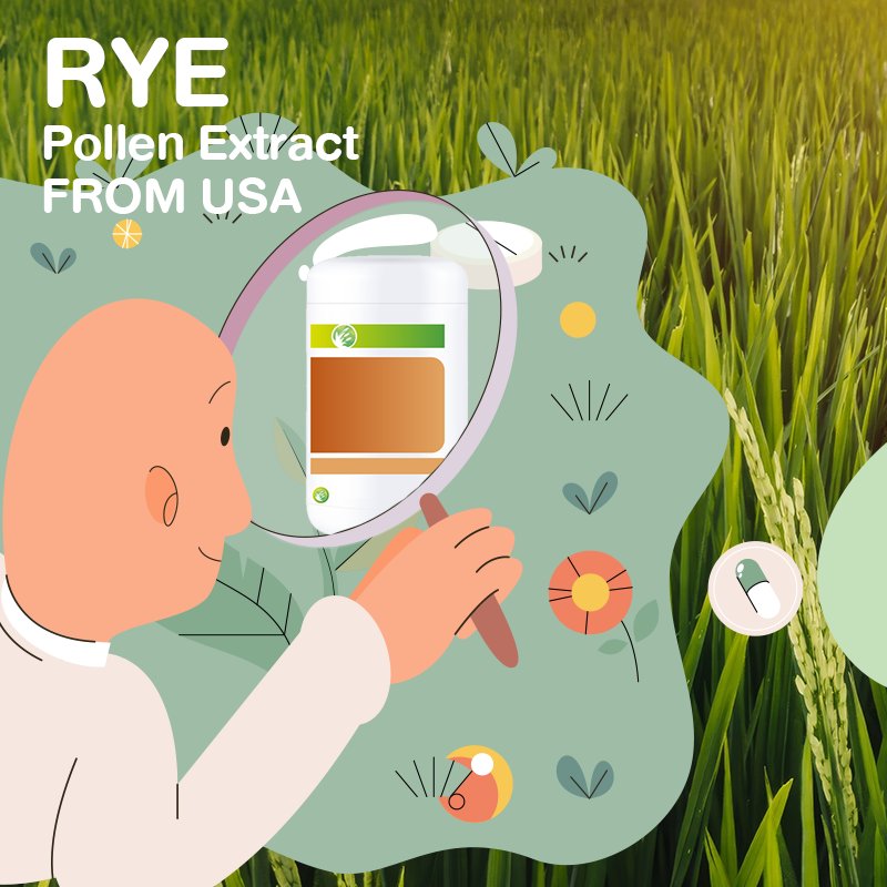 Why Is Rye Pollen Extract Perfect for Thai Health?