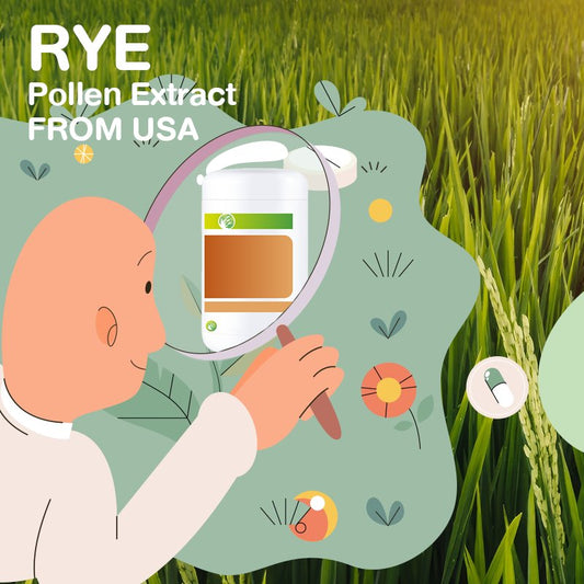 Why Is Rye Pollen Extract Perfect for Thai Health?