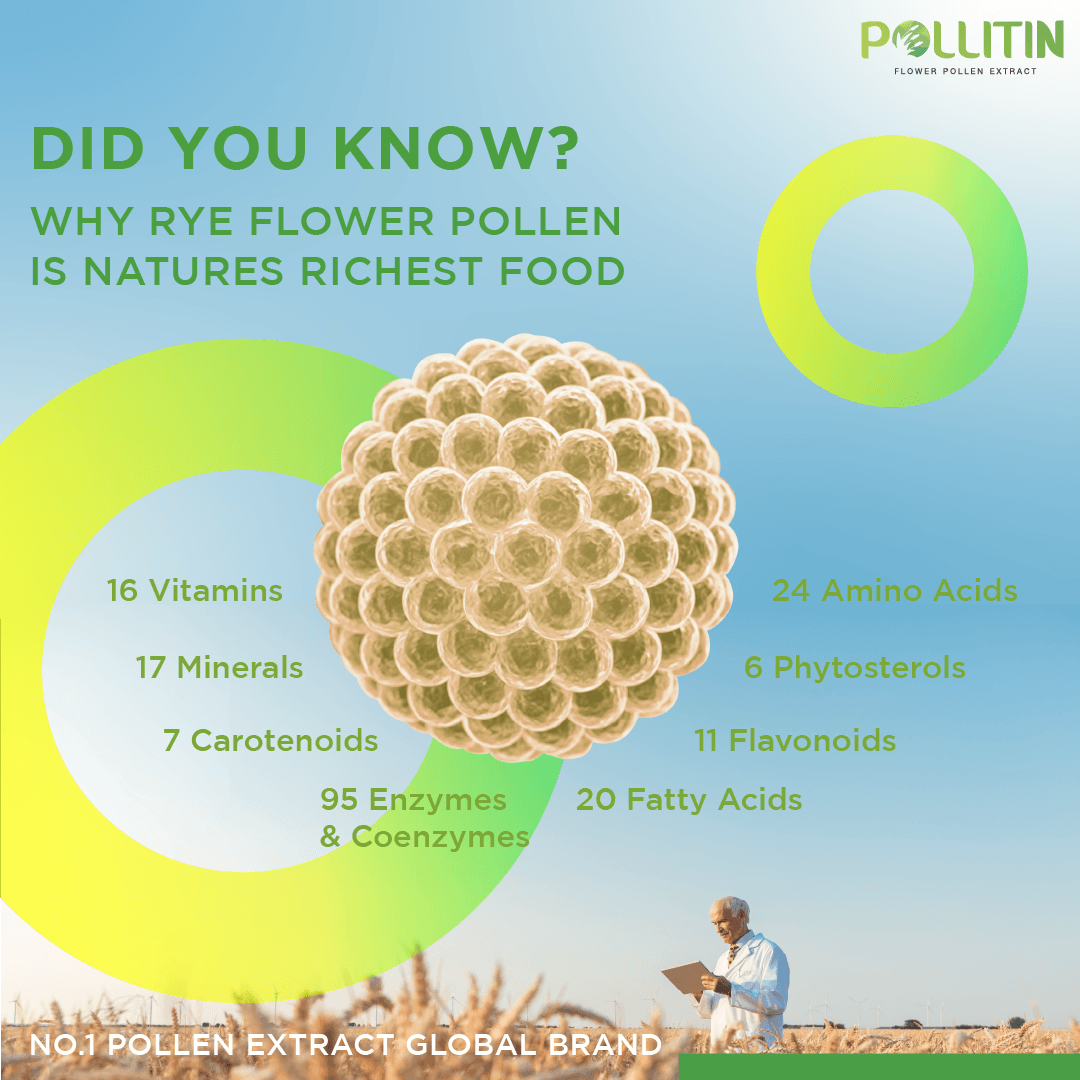 Why Is Rye Pollen Superior to Regular Vegetables? – Pollitin Official