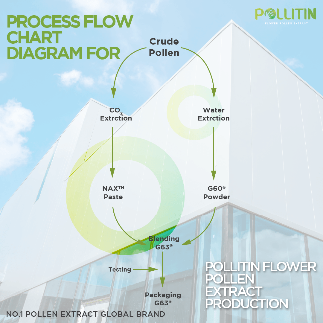 Inside the POLLITIN® Laboratory