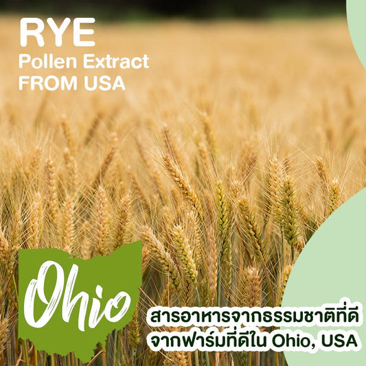 Why Rye Pollen Extract (Pollitin®) Is Easily Absorbed by the Body