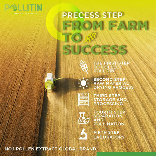 Pollitin® Production Process — Pure Rye Pollen Extract with Complete Nutrition