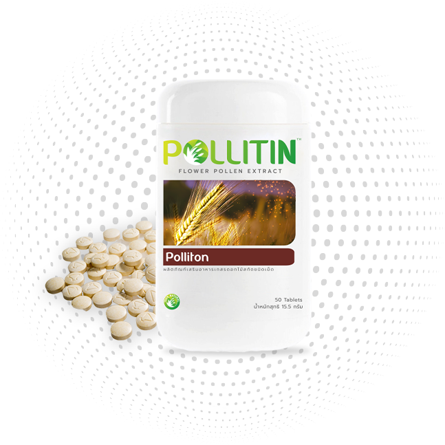 About Us – Pollitin Official